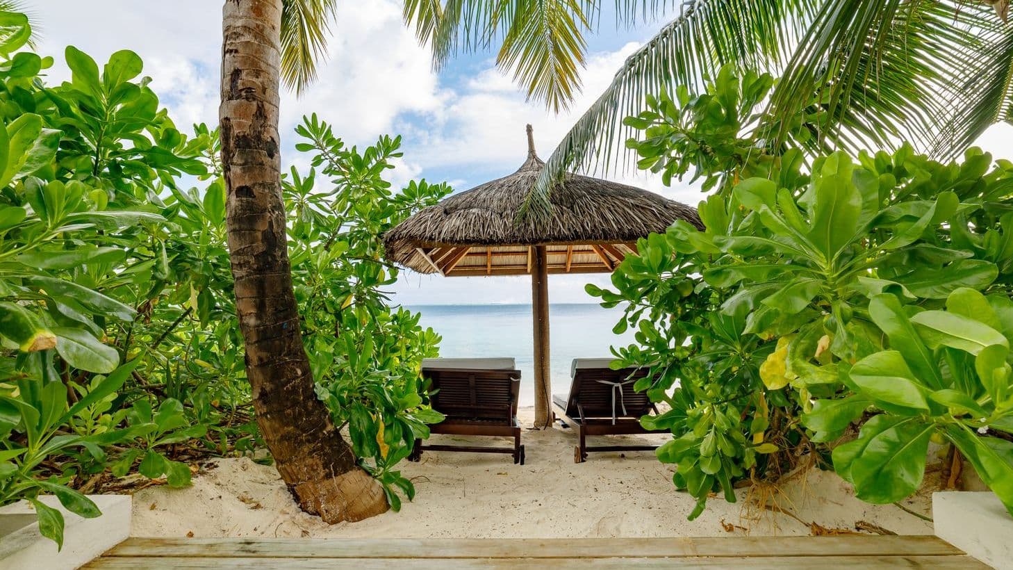 Earth Pool Pavilion 2 Bedroom Suite aerial view of tropical beach with palm trees and clear waters.