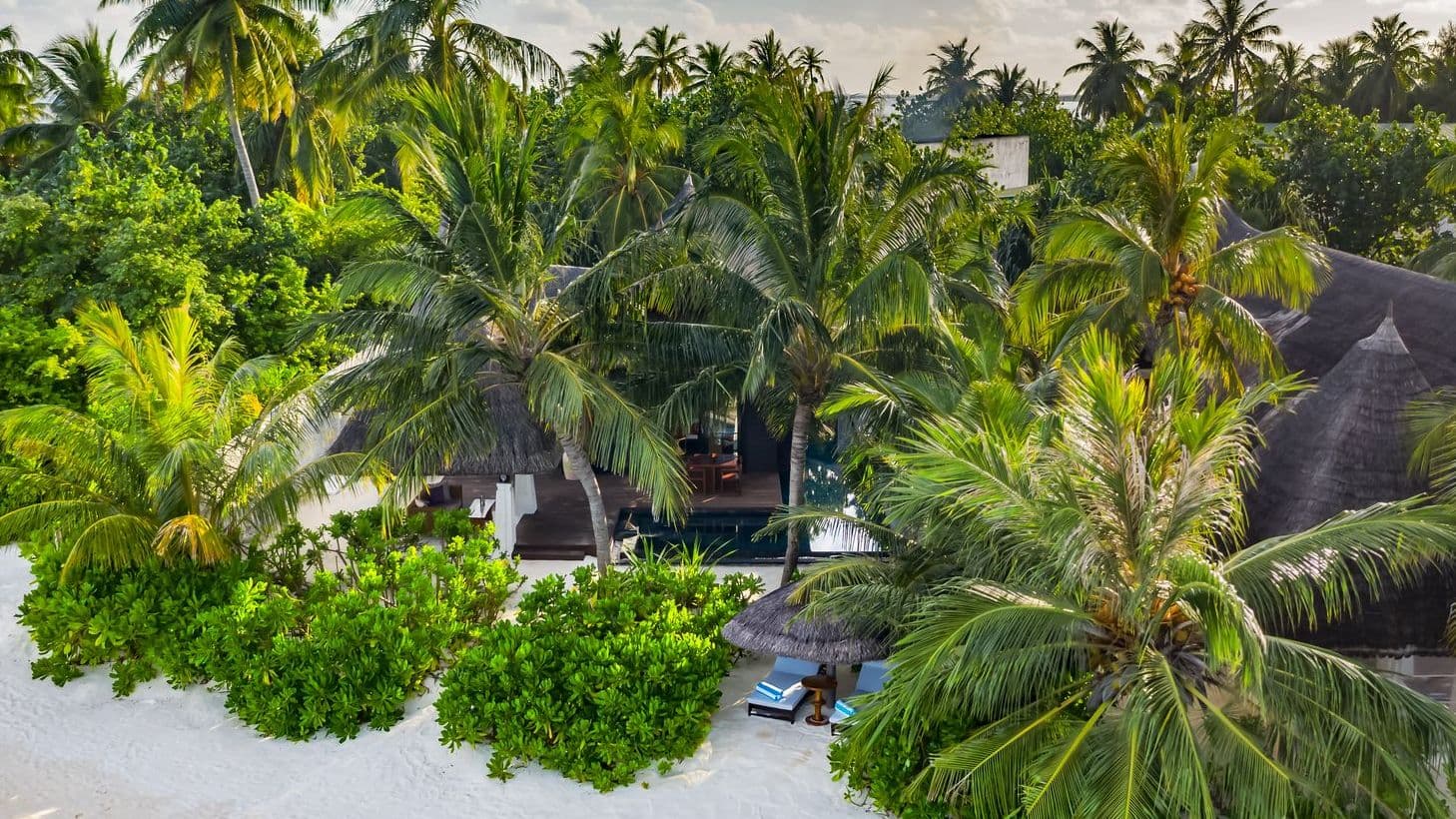 Serene resort with a sparkling pool, thatched-roof villas, and lush greenery in Maldives.