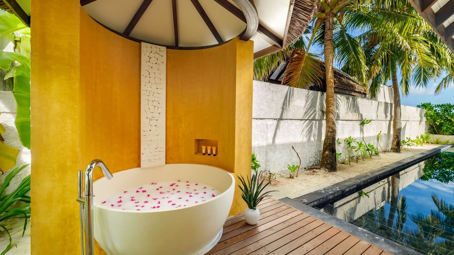 Earth Pool Pavilion 2 Bedroom Suite aerial view of tropical beach with palm trees and clear waters.