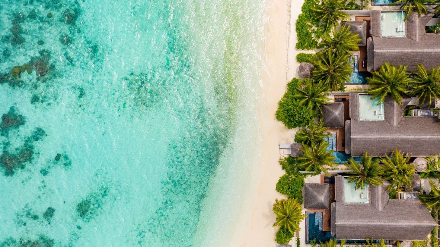 Earth Pool Pavilion 2 Bedroom Suite aerial view of tropical beach with palm trees and clear waters.