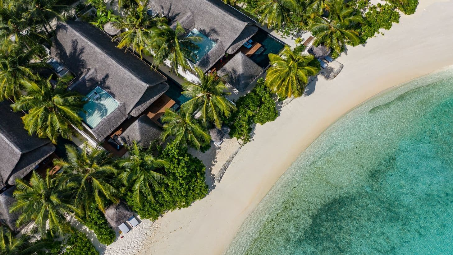 Earth Pool Pavilion 2 Bedroom Suite aerial view of tropical beach with palm trees and clear waters.